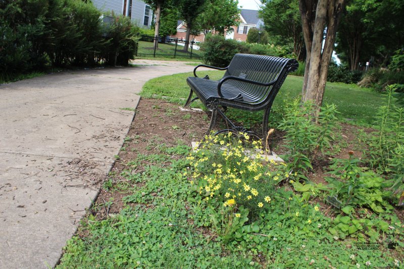 School Street Park