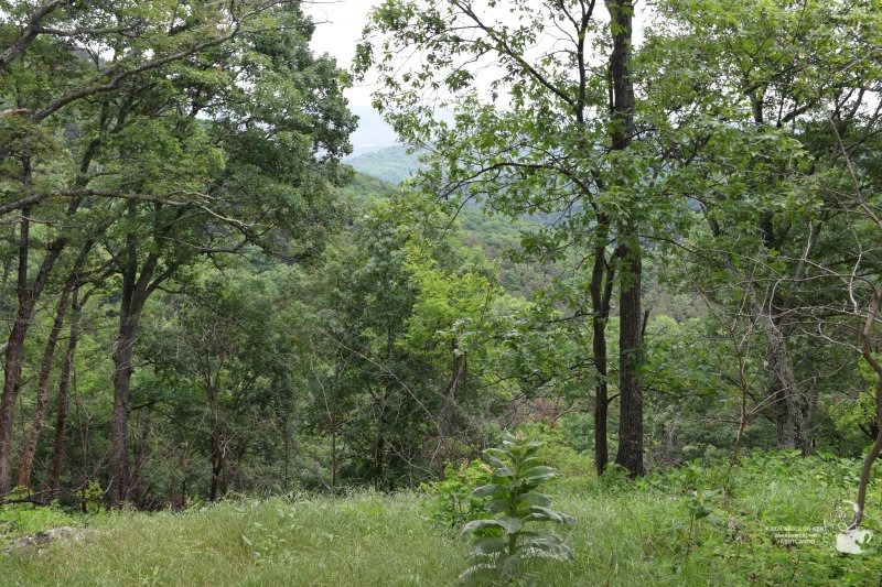 Lost River State Park