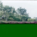 Scan83