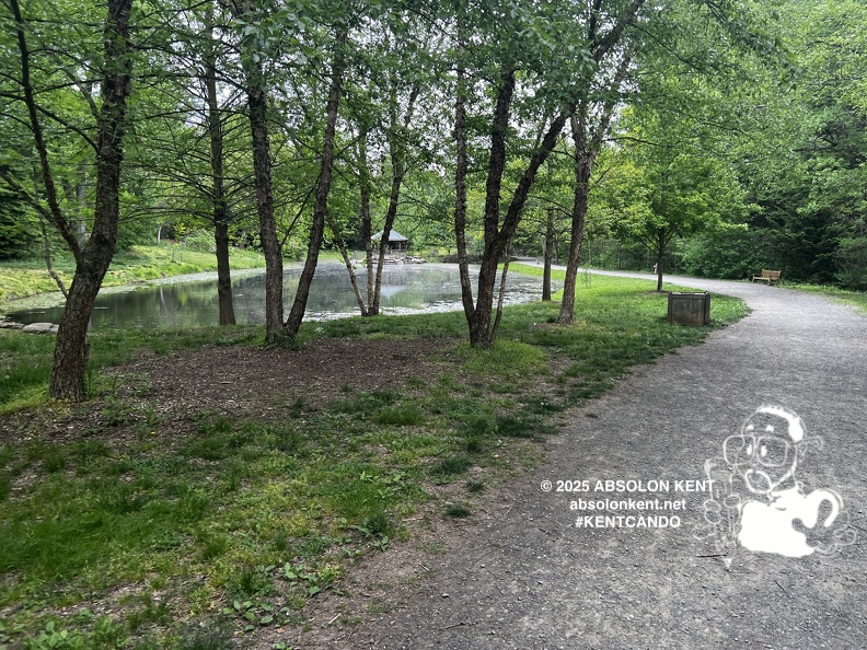 IMG 6591 (1091 visits) IMG 6591