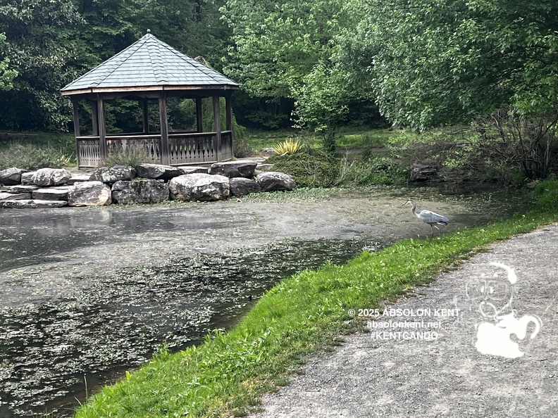 IMG 6592 (993 visits) IMG 6592