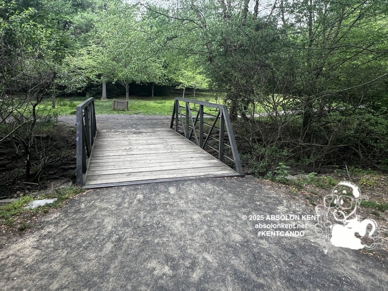 IMG 6593 (1096 visits) IMG 6593