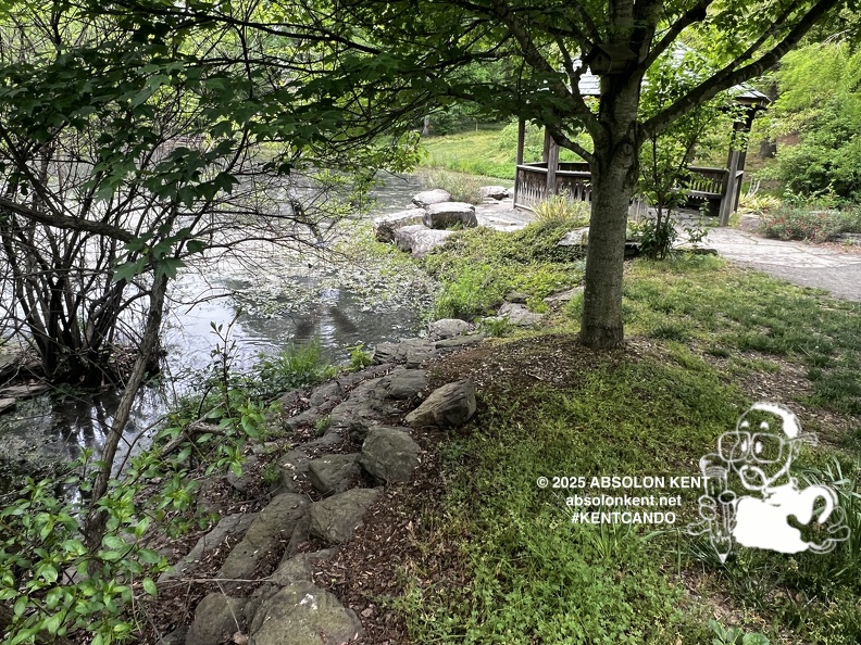 IMG 6594 (975 visits) IMG 6594