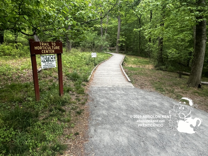 IMG 6595 (968 visits) IMG 6595