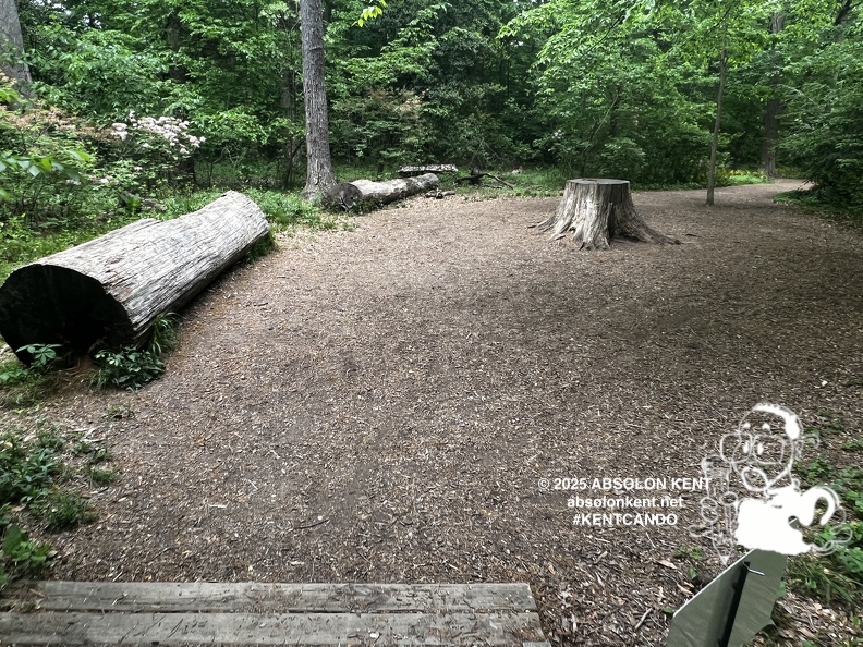 IMG 6597 (918 visits) IMG 6597