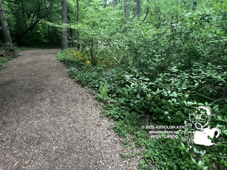 IMG 6598 (955 visits) IMG 6598