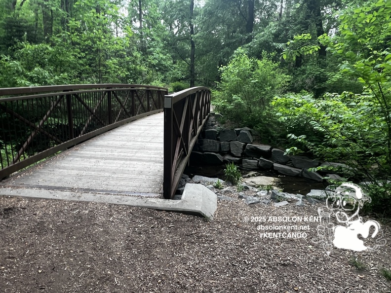 IMG 6599 (962 visits) IMG 6599