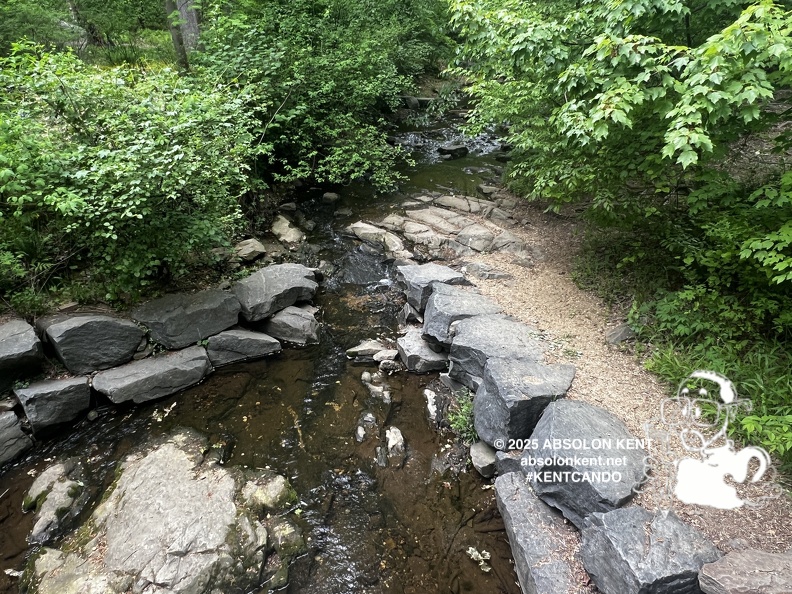 IMG 6600 (939 visits) IMG 6600