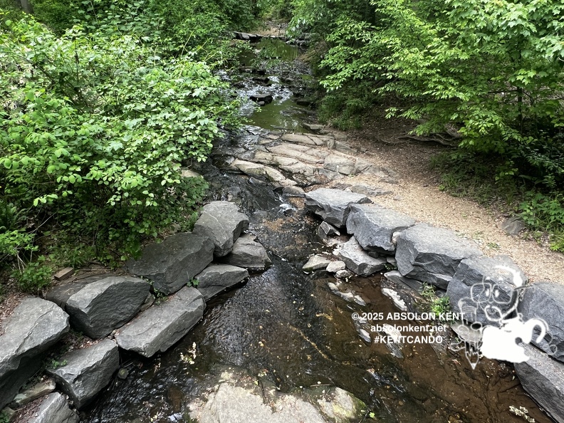 IMG 6601 (925 visits) IMG 6601