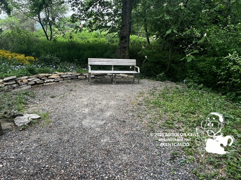 IMG 6602 (985 visits) IMG 6602