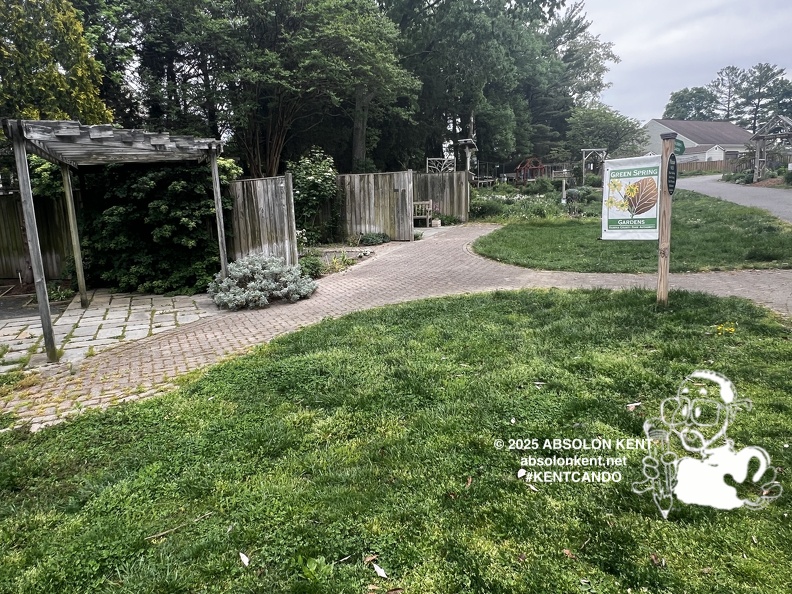 IMG 6603 (978 visits) IMG 6603