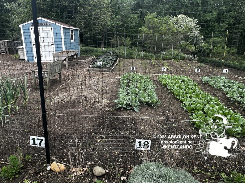 IMG 6604 (1034 visits) IMG 6604