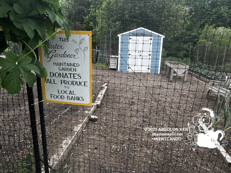 IMG 6605 (1032 visits) IMG 6605