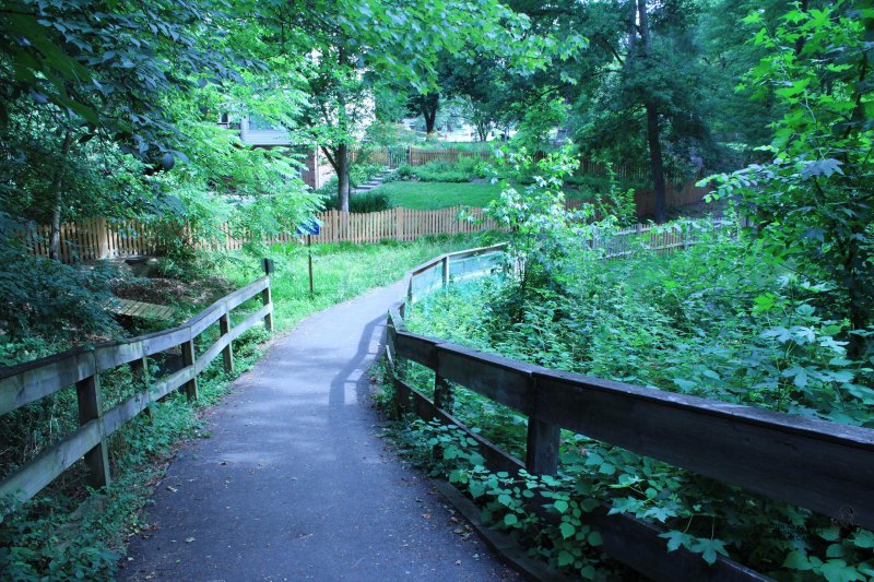 Peterson Lane Park, Vienna