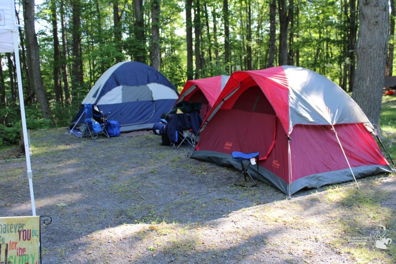 Family Camping at Highland Retreat