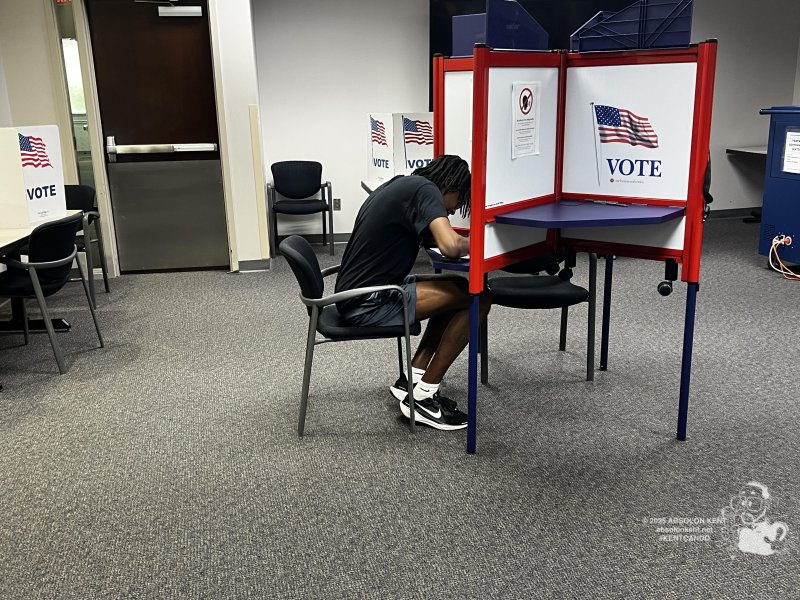 First Time Voter Alert
