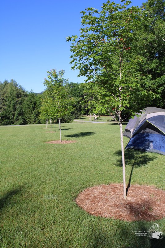 Family Camping at Highland Retreat