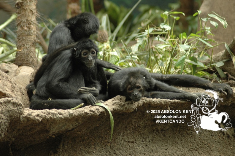 zoo 029