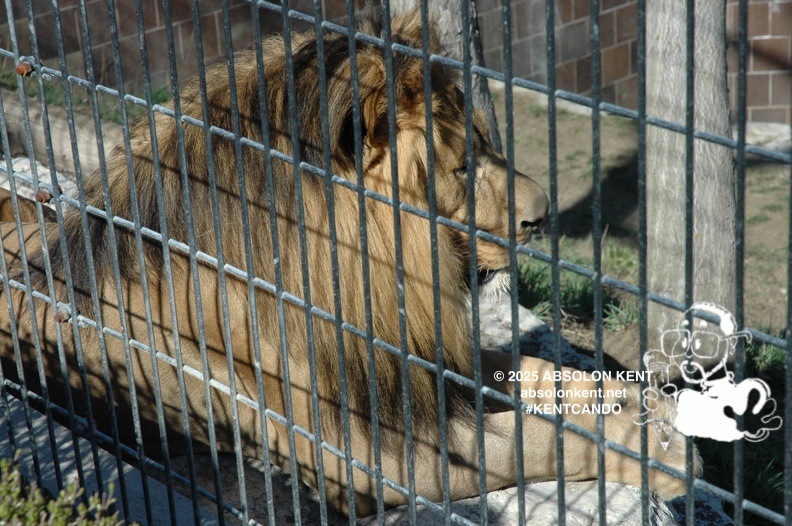 zoo 034