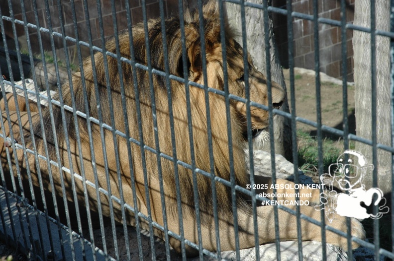 zoo 035