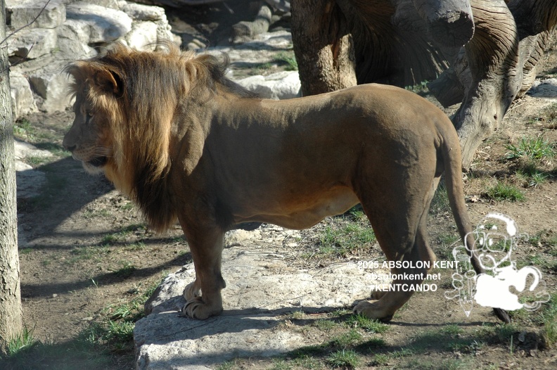 zoo 036