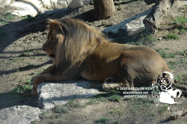 zoo 038