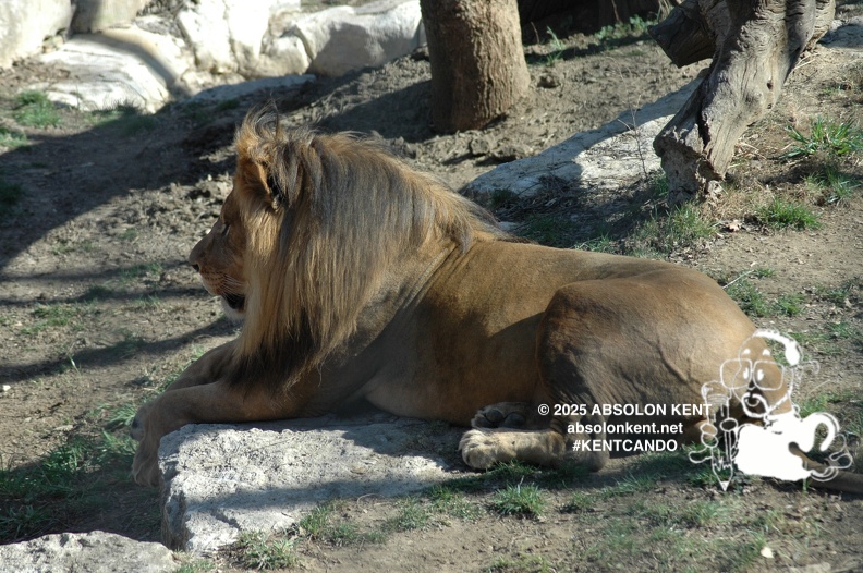 zoo 039