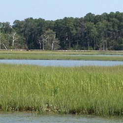 Mount Gilead Marriage Retreat (2012) - (Chincoteague, Virginia)