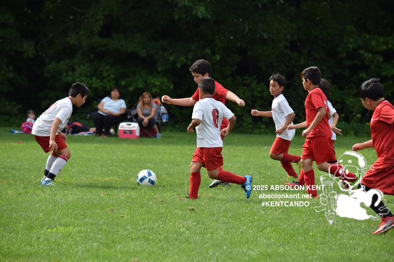 2017-06-03 09.34.17-2