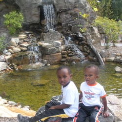 Virginia Living Museum (Newport News, Virginia)