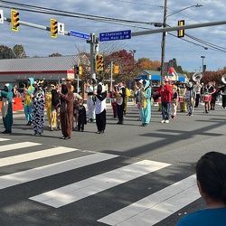 Annandale Parade