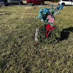 Wreaths Across America (2024)