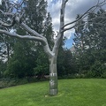IMG 9452