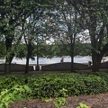 IMG 9450