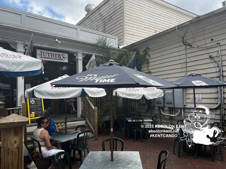 IMG 1590 (368 visits) IMG 1590